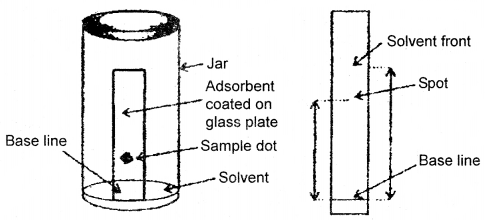 Organic Chemistry Some Basic Principles and Techniques Class 11 Notes Chemistry 75