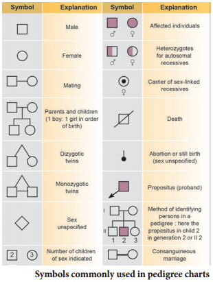 Pedigree Analysis img 1