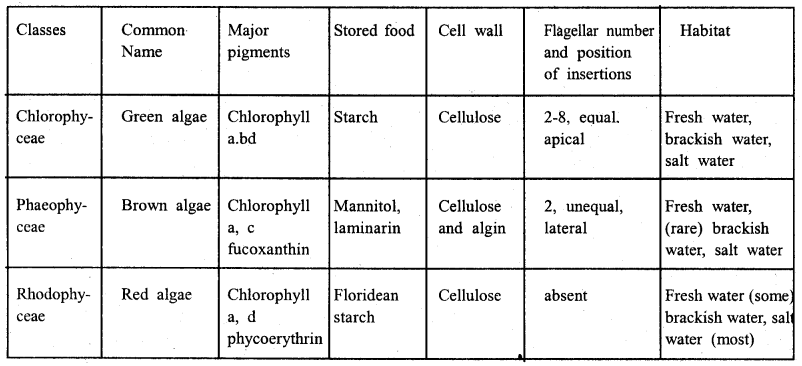 Plant Kingdom Class 11 Notes Biology 1