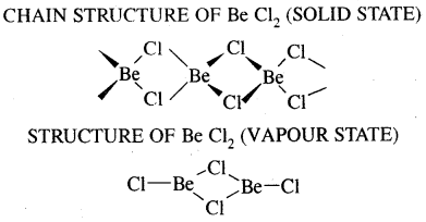 The s-Block Elements Class 11 Notes Chemistry 11