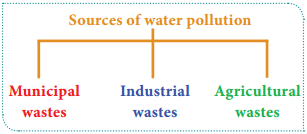 Water Pollution img 4