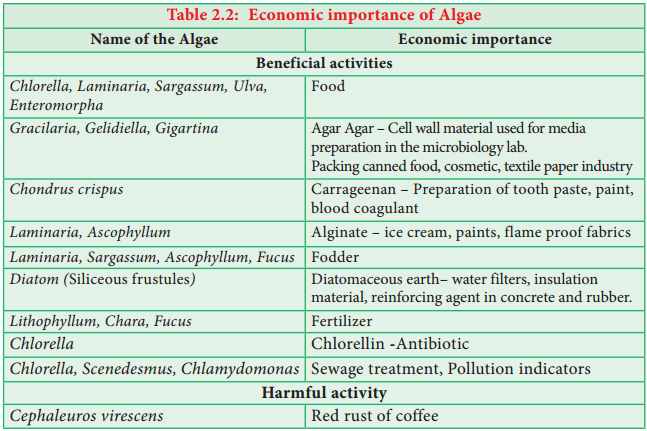 Algae Classification and its Importance img 4