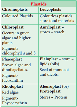 Cell Organelles img 13