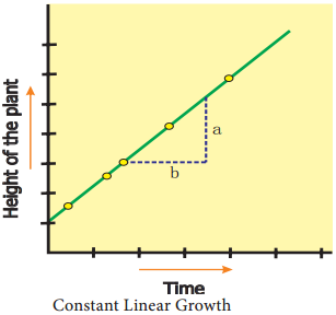 Characteristics of Growth img 2