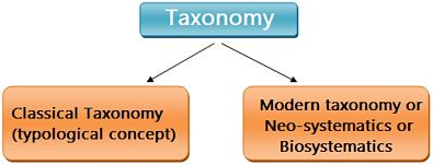 Modern Trends in Taxonomy Differences and Classification
