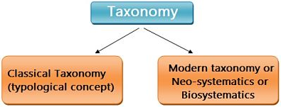 Modern Trends in Taxonomy Differences and Classification Modern Trends in Taxonomy Differences and Classification