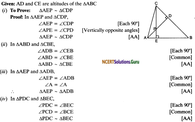 NCERT Solutions for Class 10 Maths Chapter 6 Triangles Ex 6.3 13