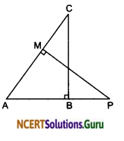 NCERT Solutions for Class 10 Maths Chapter 6 Triangles Ex 6.3 15