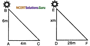 NCERT Solutions for Class 10 Maths Chapter 6 Triangles Ex 6.3 24