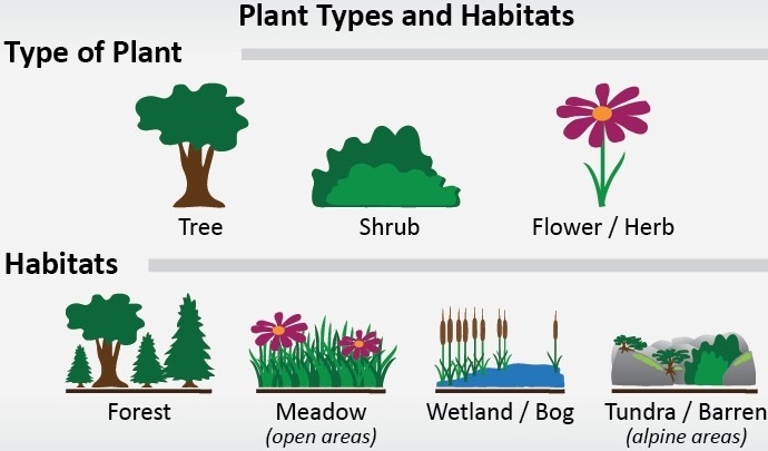 Plant Habitat img 1