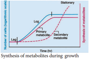 Primary and Secondary Metabolites img 1