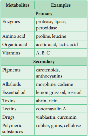 Primary and Secondary Metabolites - Primary AnD SeconDary Metabolites Img 2