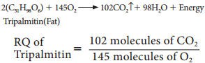 Respiratory Quotient img 5