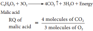 Respiratory Quotient img 6