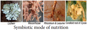 Special Modes of Nutrition img 3