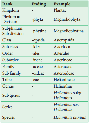 Taxonomic Hierarchy