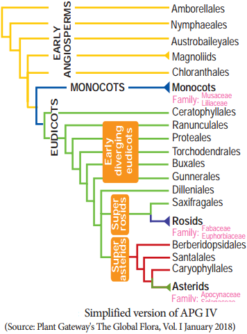 Types of Classification and its Significance