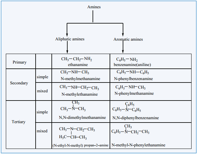 Amines - Classification img 1