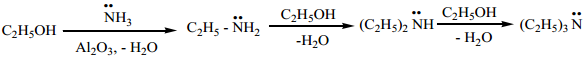 Amines - Classification img 13