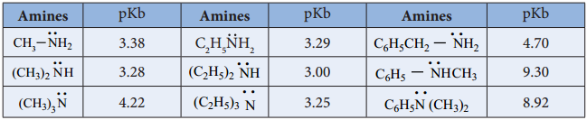 Amines - Classification img 19