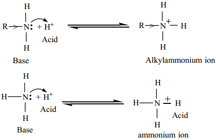 Amines - Classification img 20