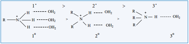 Amines - Classification img 23