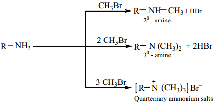 Amines - Classification img 26