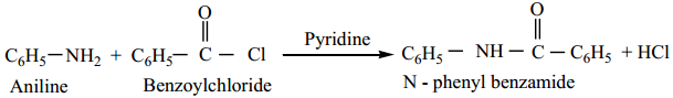 Amines - Classification img 28