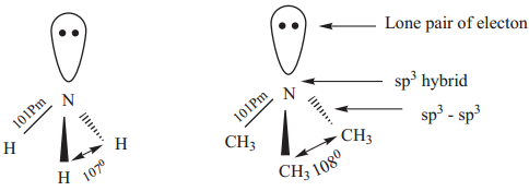 Amines - Classification img 3