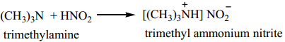 Amines - Classification img 32