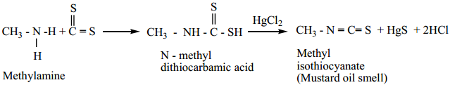 Amines - Classification img 35