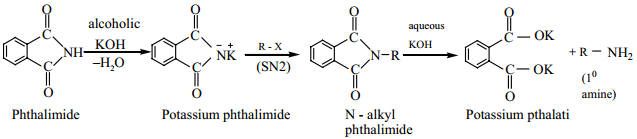 Amines - Classification img 9