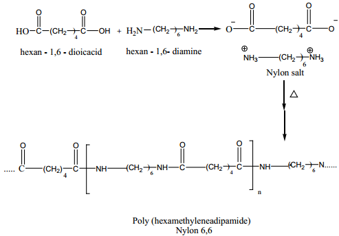 An Overview of Polymers img 9