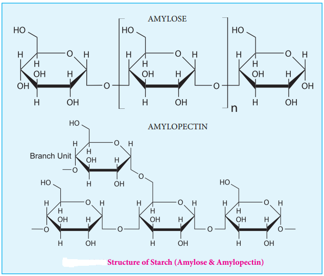 Biomolecules of Carbohydrates img 28