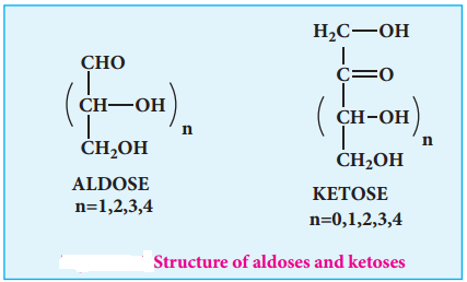 Biomolecules of Carbohydrates img 4