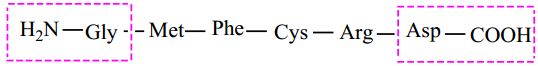 Biomolecules of Proteins img 6