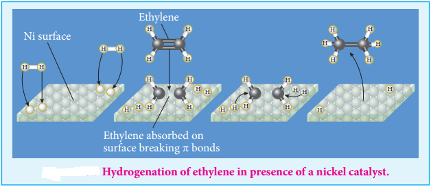 Catalysis img 11