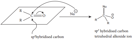 Chemical Properties of Aldehydes and Ketones img 1