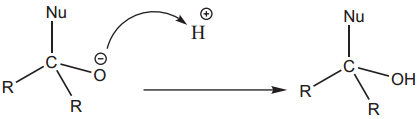 Chemical Properties of Aldehydes and Ketones img 2