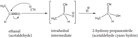 Chemical Properties of Aldehydes and Ketones img 3