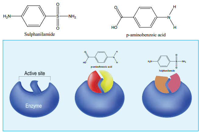 Chemistry In Everday Life of Drug and its Types img 2