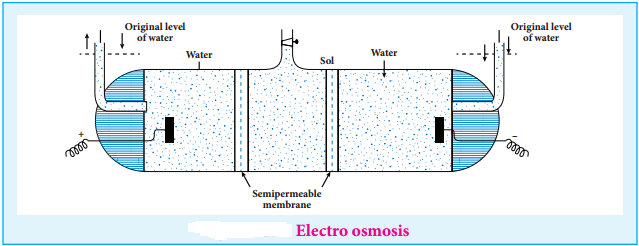 Colloid, Dispersion Phase and Dispersion Medium img 10