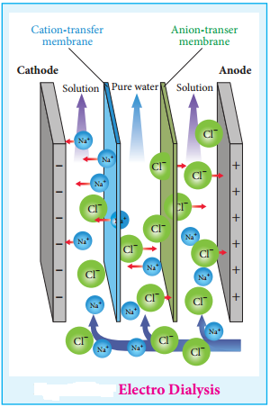 Colloid, Dispersion Phase and Dispersion Medium img 5