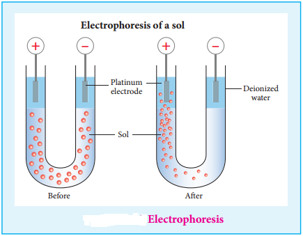 Colloid, Dispersion Phase and Dispersion Medium img 9