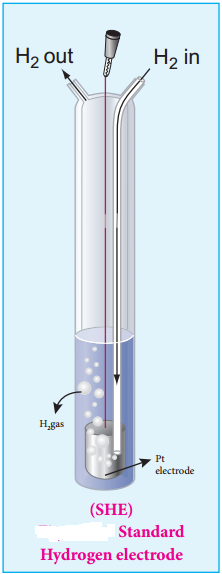 Electrochemical Cell img 4