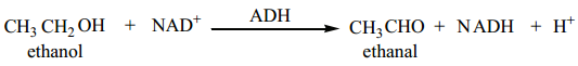 Iupac Nomenclature img 30