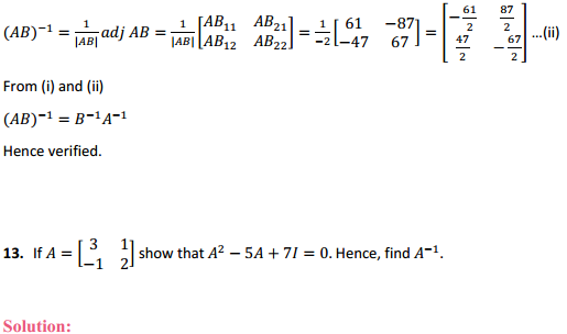 NCERT Solutions for Class 12 Maths Chapter 4 Determinants Ex 4.5 13