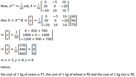 NCERT Solutions for Class 12 Maths Chapter 4 Determinants Ex 4.6 16