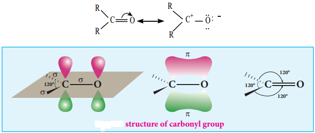 Structure of Carbonyl Group img 2