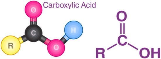 Uses of Carboxylic Acids and its Derivatives img 1